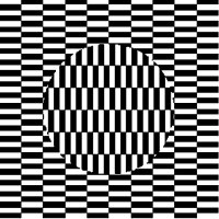 Optical Illusions Create Art and Provoke Thought