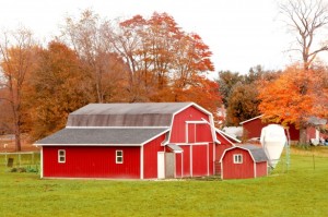 red-barn-in-autumn-field